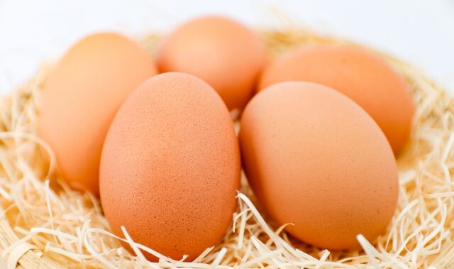 日持ちが伸びる？卵の正しい保存方法｜卵は常温で保存できる？【保存の知識】