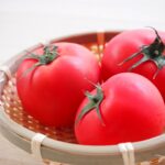 トマトを見分ける方法｜美味しいトマトはここを見ろ！【料理の豆知識】