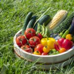 夏野菜の保存方法｜寒さに弱い夏野菜はこうやって保存！！