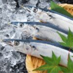 【プロ直伝】「サンマ(秋刀魚)」の美味い食べ方｜サンマの下処理と見分け方